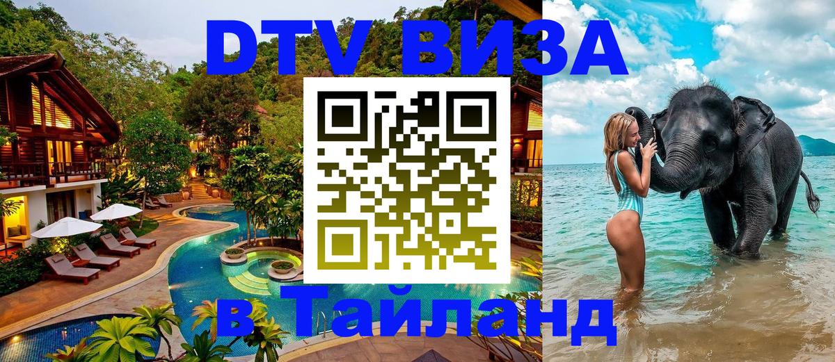 Оформление DTV визы под ключ: стоимость и тарифы, только загранпаспорт - 05.12.2025 